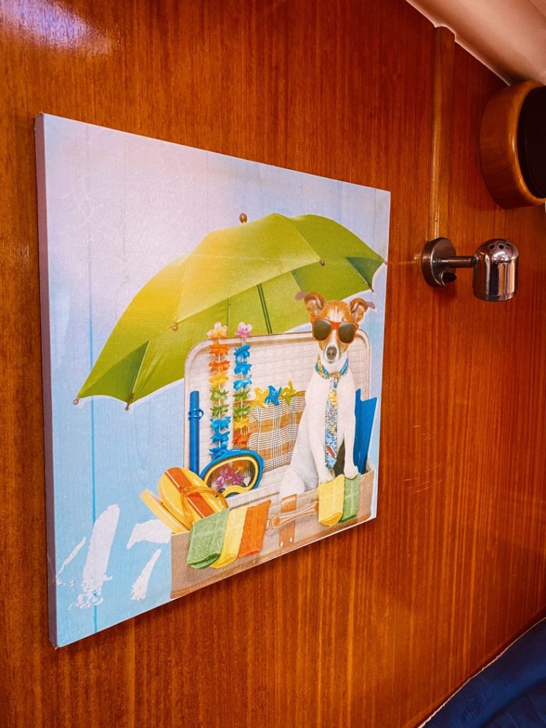 Iro (Pax 7) — photo 2