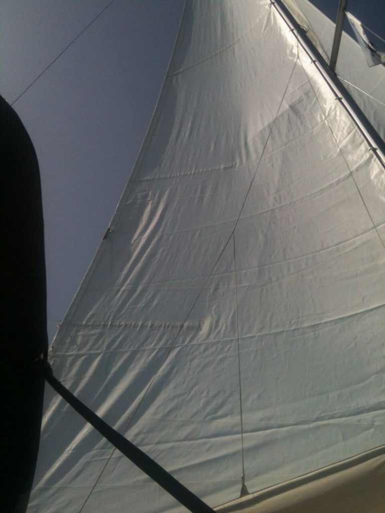 TRIZONIA  — photo 4