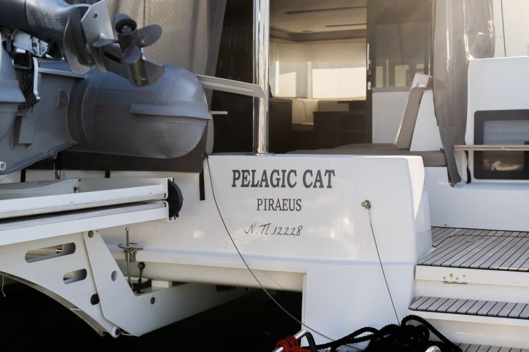 PELAGIC CAT — φωτογραφία 4