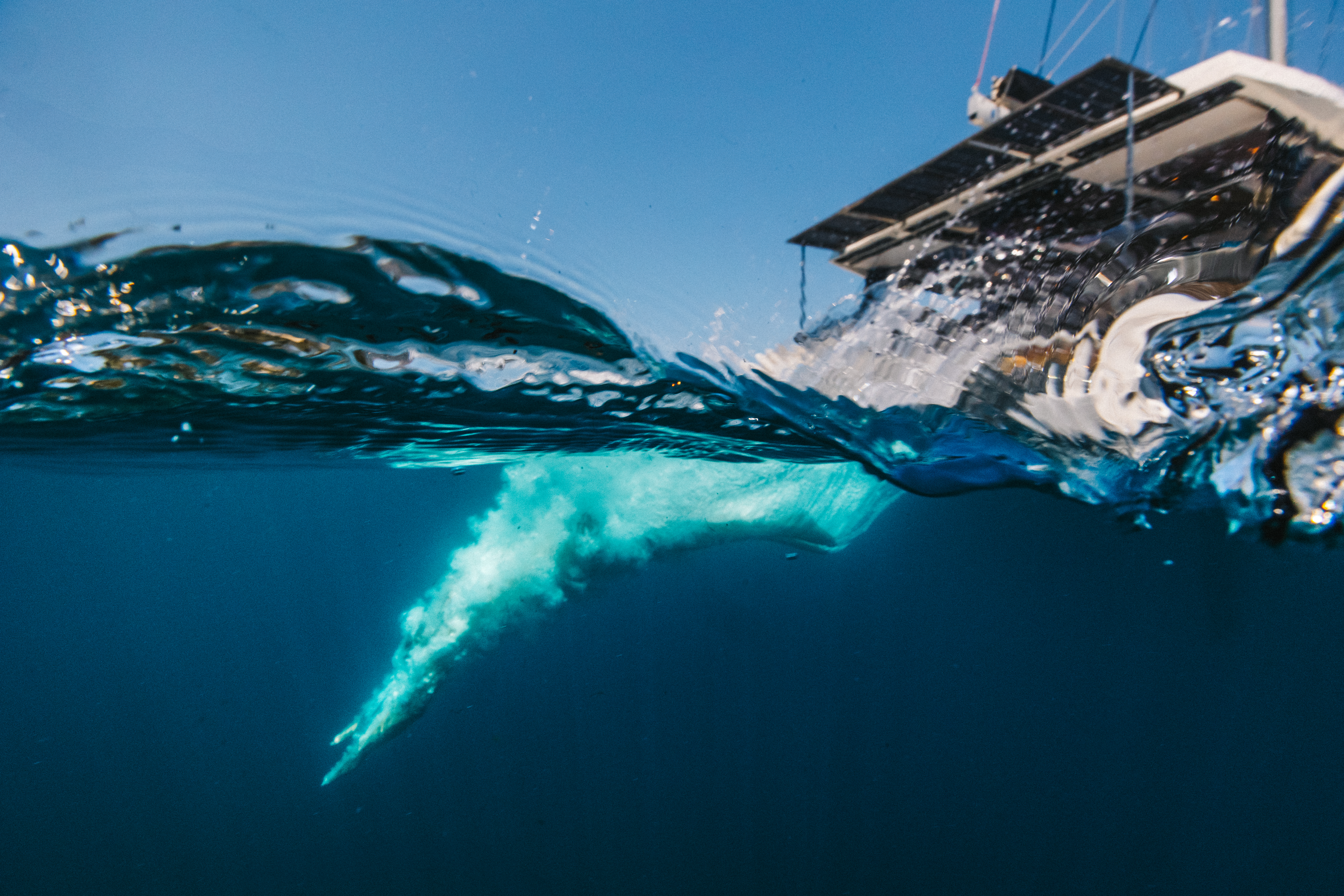STARDUST